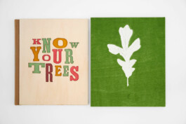 Atelier Michael Woolworth