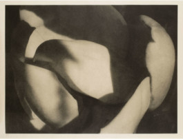 Atelier Michael Woolworth