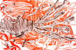 Atelier Michael Woolworth