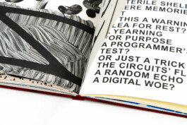 Atelier Michael Woolworth