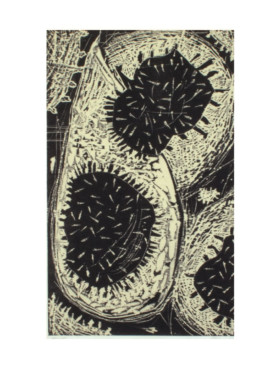 Atelier Michael Woolworth