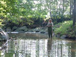 Atelier Michael Woolworth