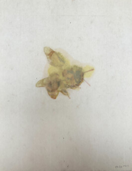 Atelier Michael Woolworth