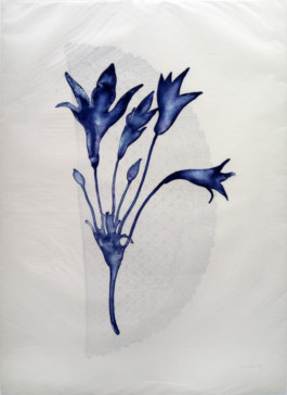 Atelier Michael Woolworth