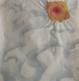 Atelier Michael Woolworth