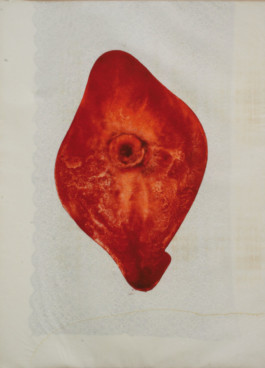 Atelier Michael Woolworth