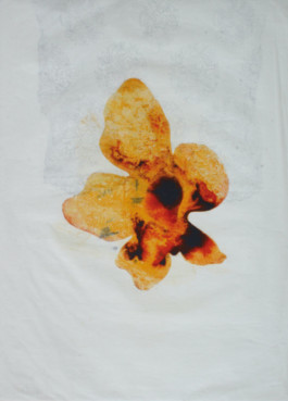 Atelier Michael Woolworth