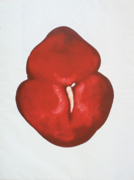 Atelier Michael Woolworth