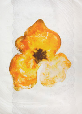 Atelier Michael Woolworth