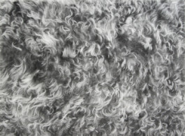 Atelier Michael Woolworth