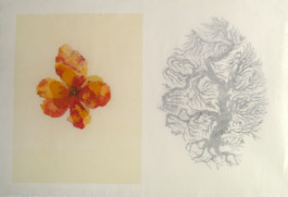 Atelier Michael Woolworth