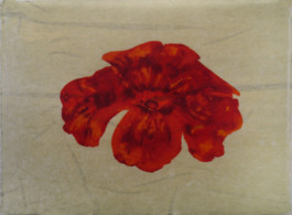 Atelier Michael Woolworth