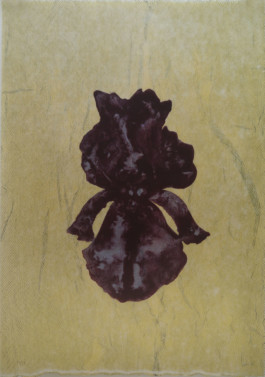 Atelier Michael Woolworth