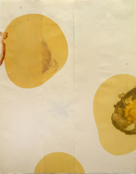 Atelier Michael Woolworth