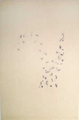 Atelier Michael Woolworth