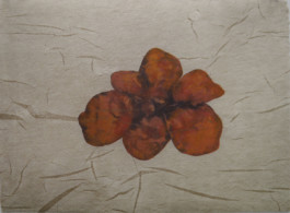 Atelier Michael Woolworth