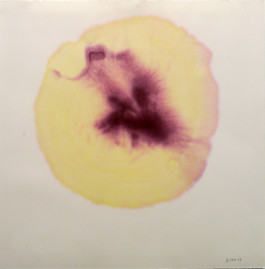 Atelier Michael Woolworth