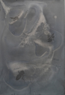 Atelier Michael Woolworth