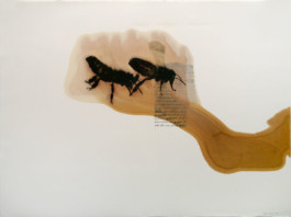 Atelier Michael Woolworth