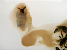 Atelier Michael Woolworth