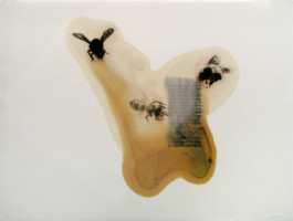 Atelier Michael Woolworth