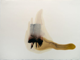 Atelier Michael Woolworth