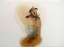 Atelier Michael Woolworth