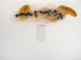 Atelier Michael Woolworth