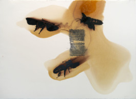 Atelier Michael Woolworth