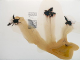 Atelier Michael Woolworth