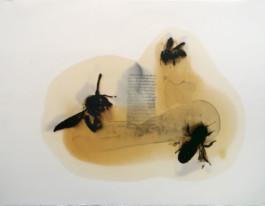 Atelier Michael Woolworth