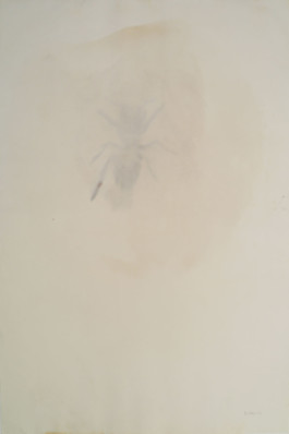 Atelier Michael Woolworth