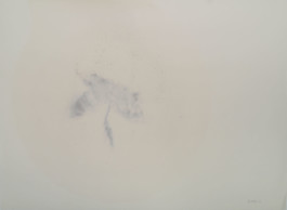 Atelier Michael Woolworth