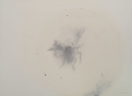 Atelier Michael Woolworth