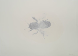 Atelier Michael Woolworth