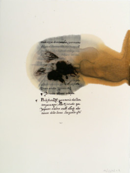 Atelier Michael Woolworth