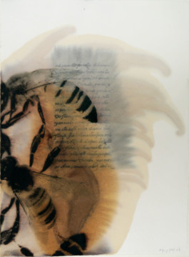 Atelier Michael Woolworth