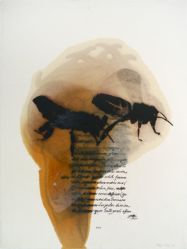 Atelier Michael Woolworth