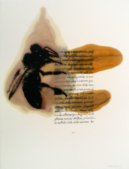 Atelier Michael Woolworth