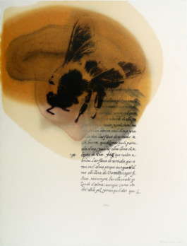 Atelier Michael Woolworth