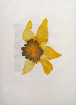 Atelier Michael Woolworth