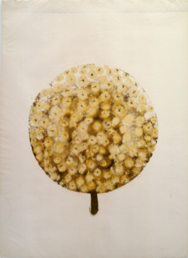 Atelier Michael Woolworth