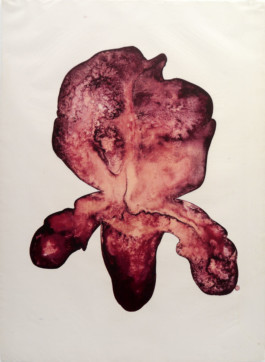 Atelier Michael Woolworth