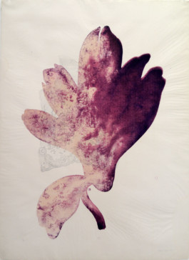 Atelier Michael Woolworth