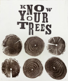 Atelier Michael Woolworth