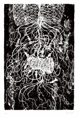 Atelier Michael Woolworth