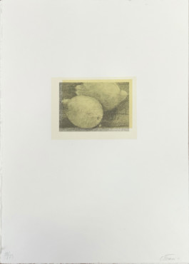 Atelier Michael Woolworth