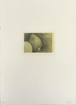 Atelier Michael Woolworth