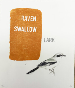 Atelier Michael Woolworth