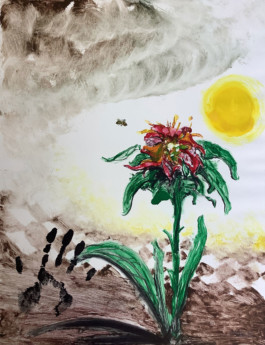 Atelier Michael Woolworth